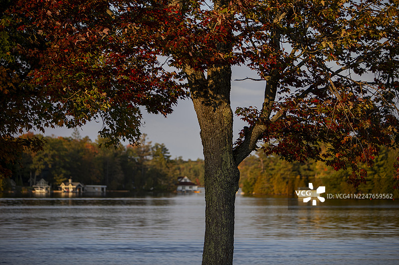 穆斯科卡湖的秋景图片素材