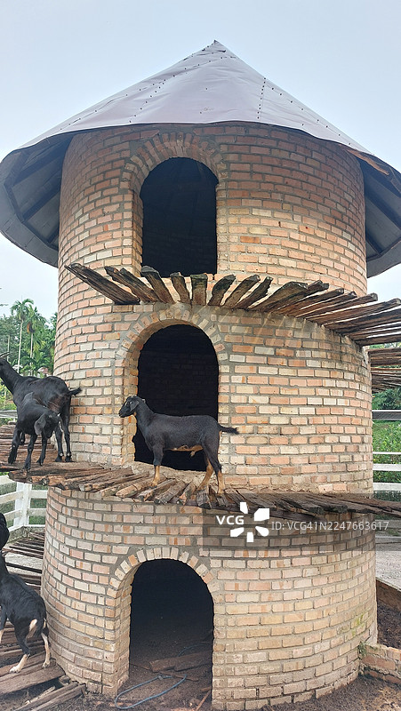 乡村农场景观中，高耸的多层圆形砖砌山羊塔，带有木制平台图片素材