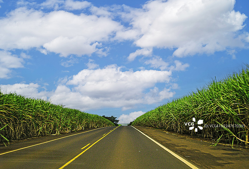 一条两旁种满郁郁葱葱甘蔗的道路，被称为糖之路。美丽的云层 formations。图片素材