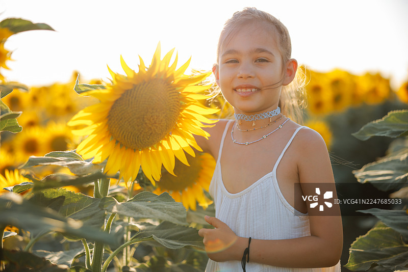 阳光明媚的夏日，孩子在向日葵田里玩耍图片素材