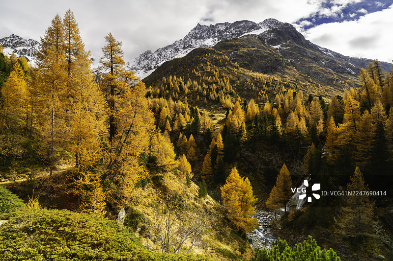 利夫里尼奥的秋天图片素材