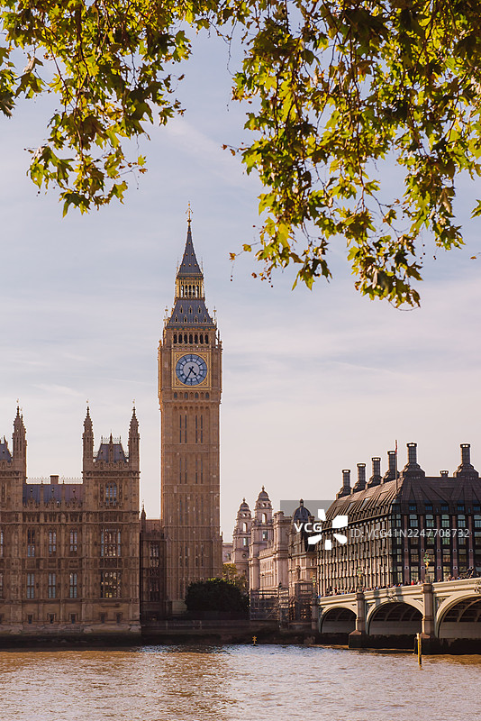从圣托马斯医院信托公园内拍摄的大本钟钟楼图片素材