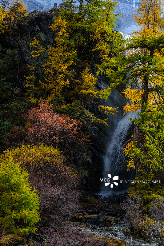 四川稻城亚丁自然保护区秋季的瀑布图片素材