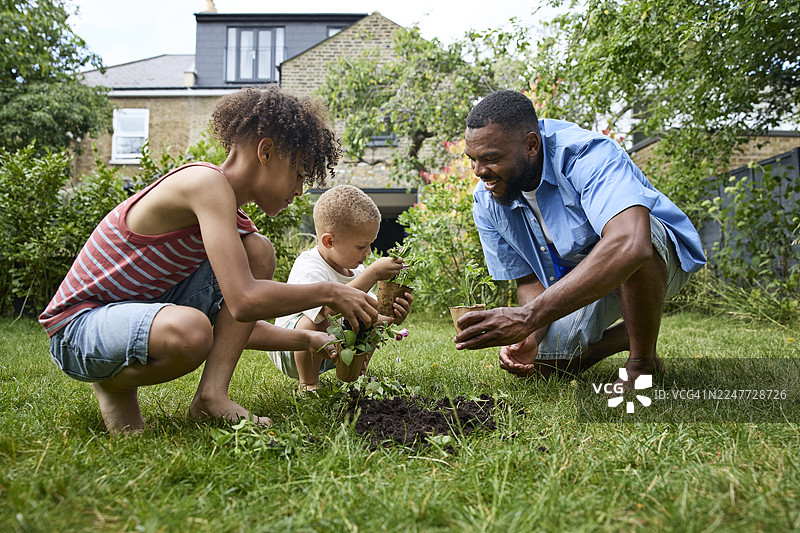父亲在后院与儿子们一起园艺图片素材