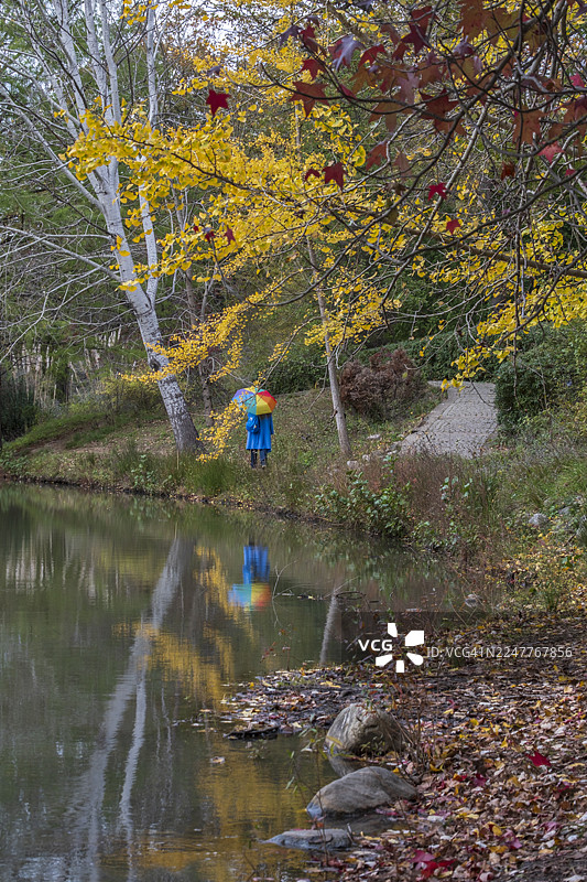 土耳其伊斯坦布尔萨里耶尔区的秋日金色倒影图片素材