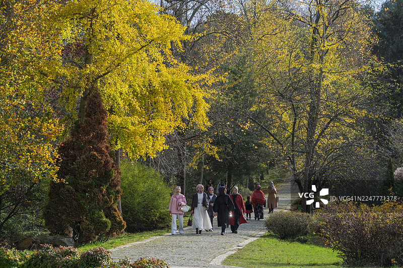 伊斯坦布尔萨里耶尔区，金色光辉下的聚会图片素材