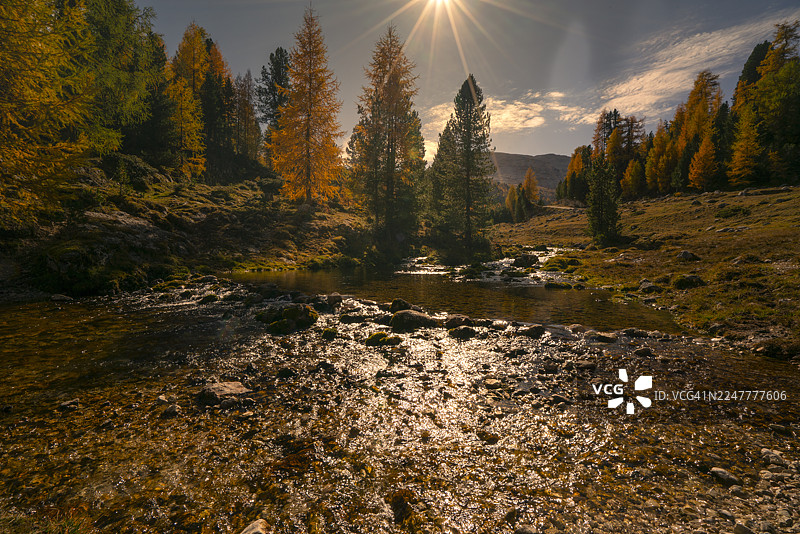 多洛米蒂法内斯小屋步道上阳光普照的阿尔卑斯溪流与金黄落叶松林图片素材