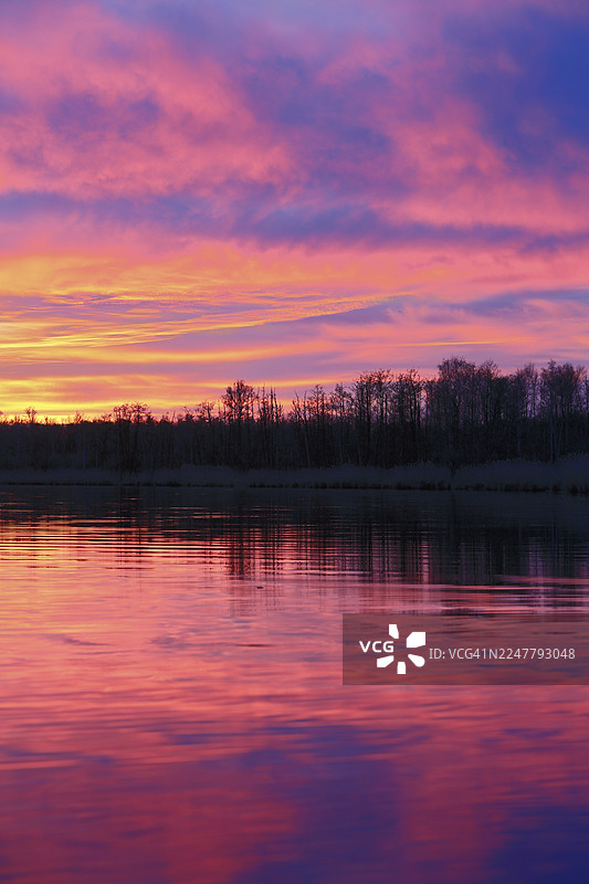 日落时分的河流,粉紫色天空,背景有树木,位于德国梅克伦堡-前波美拉尼亚州的皮纳塔尔自然公园。图片素材