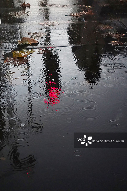 雨中的红灯图片素材