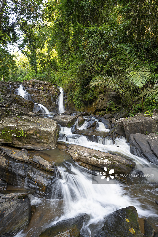 德雷马瀑布穿过茂密的植被，位于坦桑尼亚坦噶阿马尼自然森林保护区的热带雨林中，长曝光，东部乌萨姆巴拉山脉。图片素材