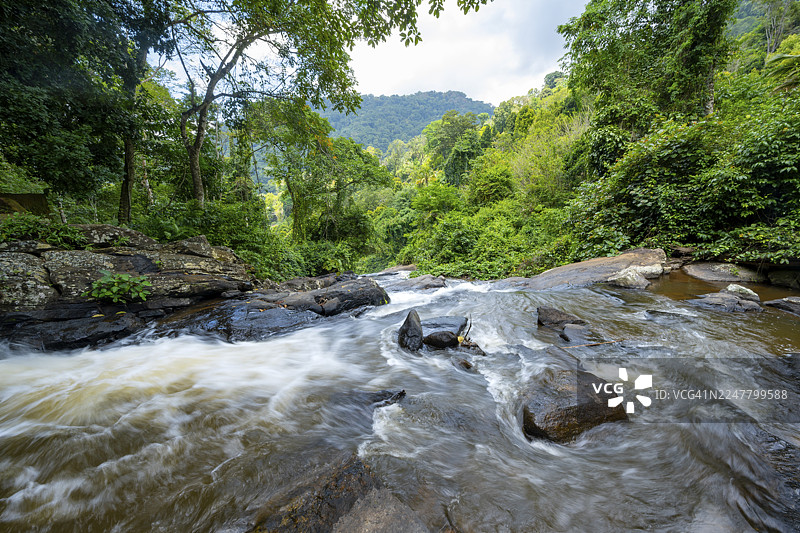 阿马尼自然森林保护区，东部乌桑巴拉山脉，坦噶，坦桑尼亚，热带雨林中，瀑布穿过茂密的植被，长曝光图片素材