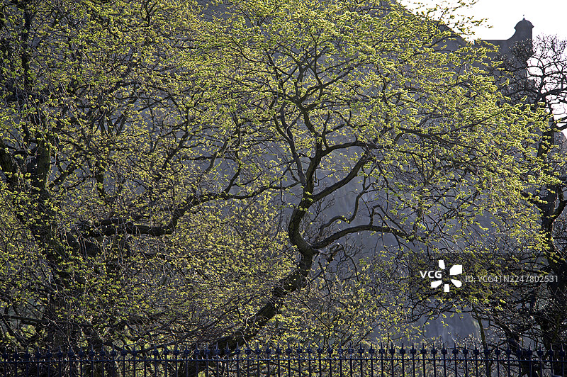 爱丁堡城堡剪影位于公主花园之上图片素材