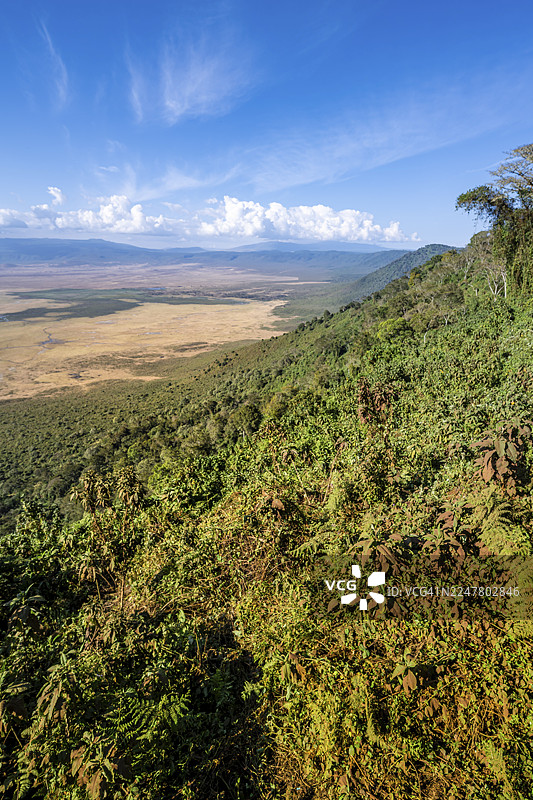 坦桑尼亚恩戈罗恩戈罗保护区恩戈罗恩戈罗火山口景观,包括火山口、森林和稀树草原风光图片素材