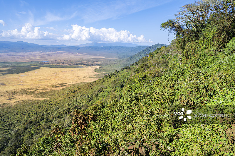 坦桑尼亚恩戈罗恩戈罗保护区火山口观景点，森林和稀树草原景观图片素材