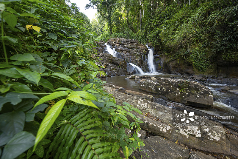 德雷马瀑布穿过茂密的植被，位于坦桑尼亚坦噶阿马尼自然森林保护区的热带雨林中，长曝光，东部乌桑巴拉山脉。图片素材