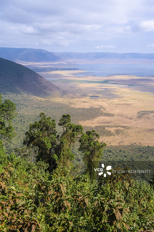 坦桑尼亚恩戈罗恩戈罗保护区火山口景观、森林和稀树草原风光图片素材