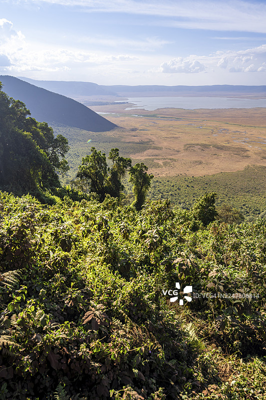 坦桑尼亚恩戈罗恩戈罗保护区，恩戈罗恩戈罗火山口，森林与草原景观，火山口观景点图片素材