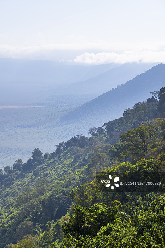 坦桑尼亚恩戈罗恩戈罗保护区恩戈罗恩戈罗火山口景观，火山口观景点，有森林的山坡图片素材