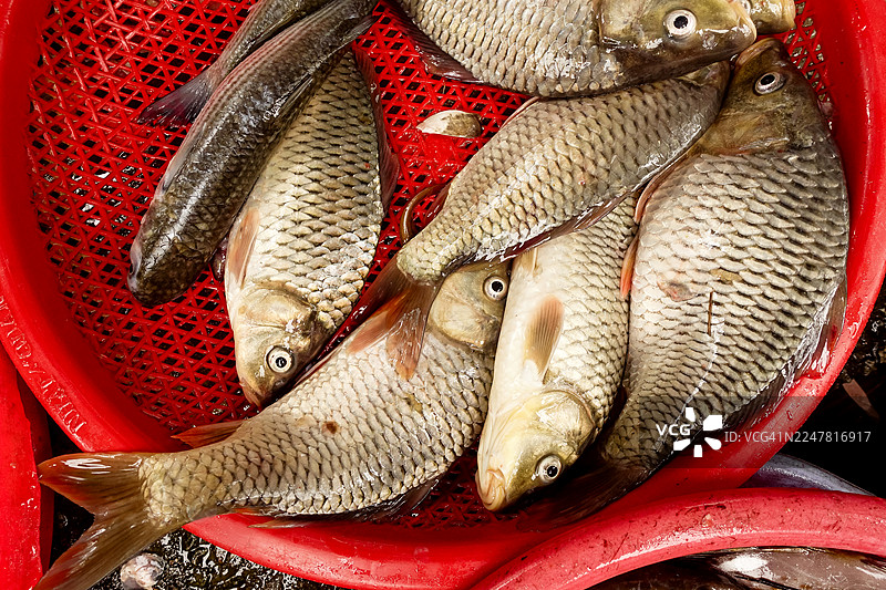 越南中部顺化市潮湿的鱼市图片素材