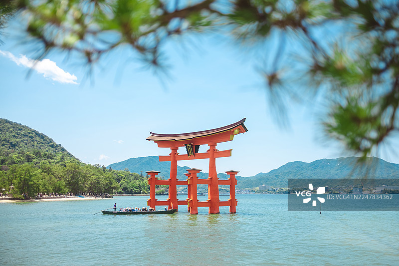 严岛神社大鸟居图片素材