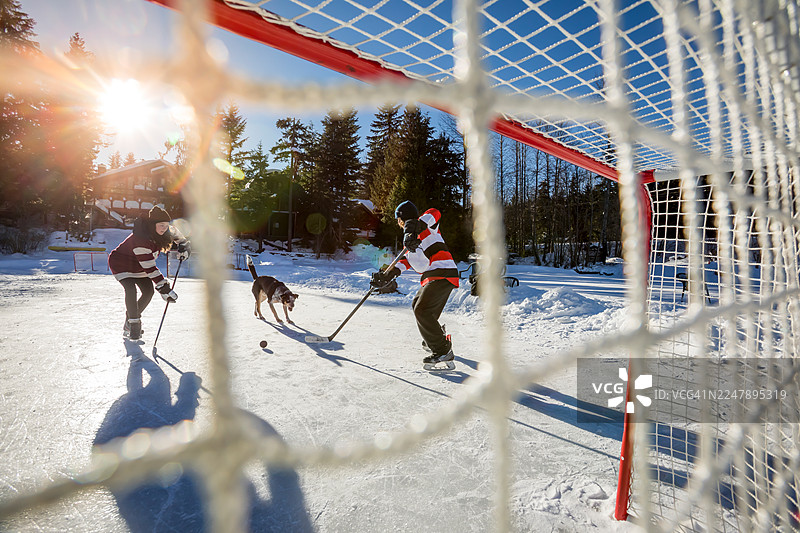 年轻男子与狗在惠斯勒的池塘上打冰球图片素材