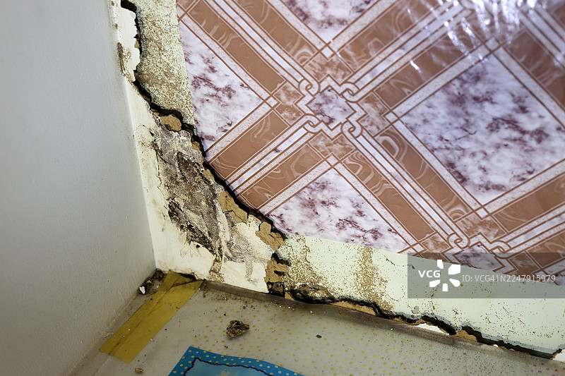 白蚁损坏了室内橱柜，墙上贴有塑料薄膜以防白蚁。图片素材