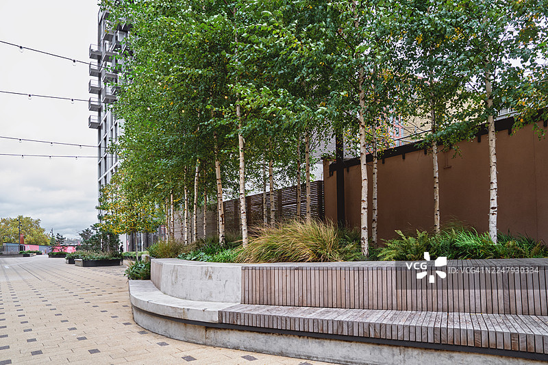 可持续的公共区域，配有住宅塔楼、桦树、野花花坛和木制长椅。图片素材