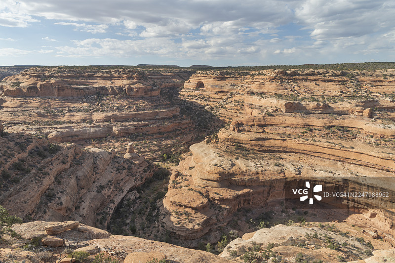 公路峡谷，雪松台地图片素材