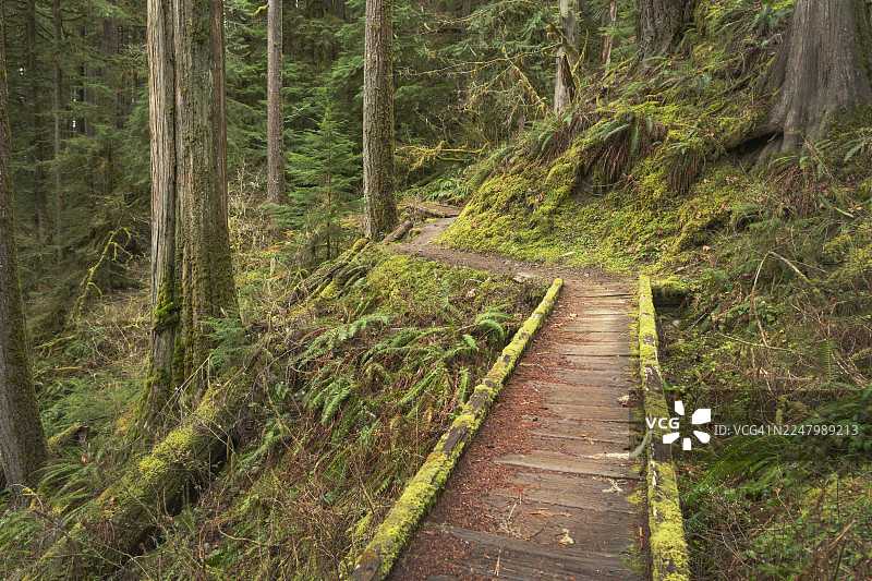 贝克湖步道，北喀斯喀特山脉图片素材