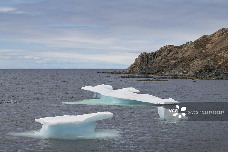 纽芬兰特威林盖特港的小冰山图片素材