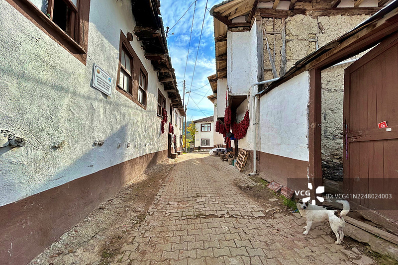 Bilecik 的 Cukuroren 村庄图片素材