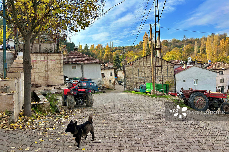 比莱吉克省的丘库罗伦村图片素材