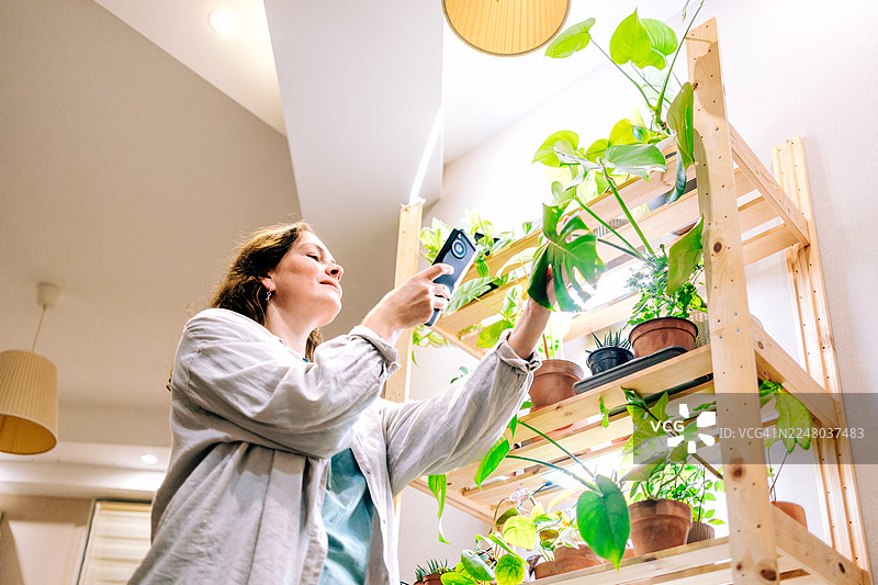 女子用智能手机拍摄室内盆栽架图片素材