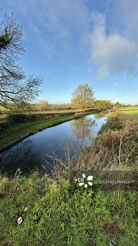从运河桥上看去，可以看到水面、天鹅和树篱。图片素材