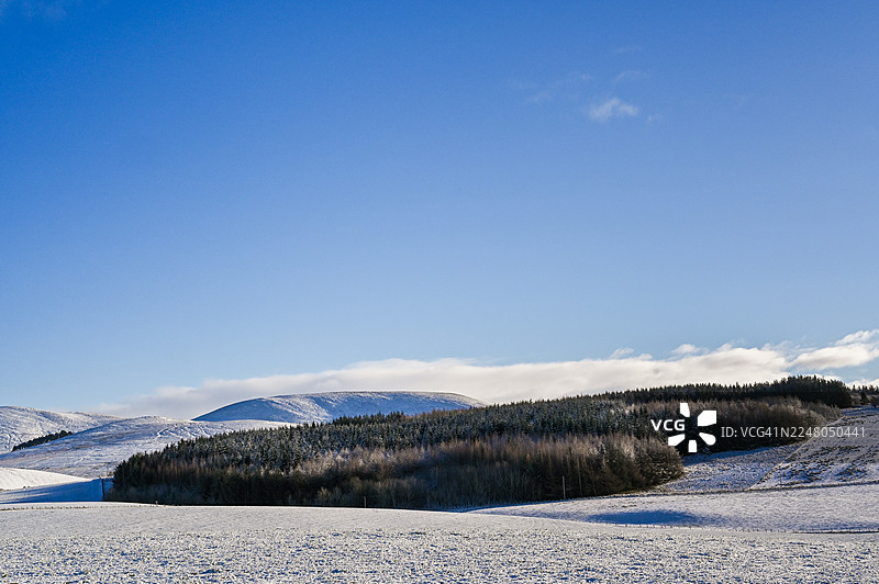 雪地里的伐木种植园-Pebbleshire图片素材