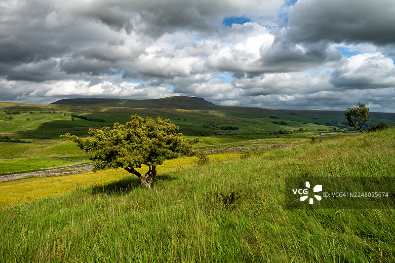 里布尔斯代尔的夏天图片素材