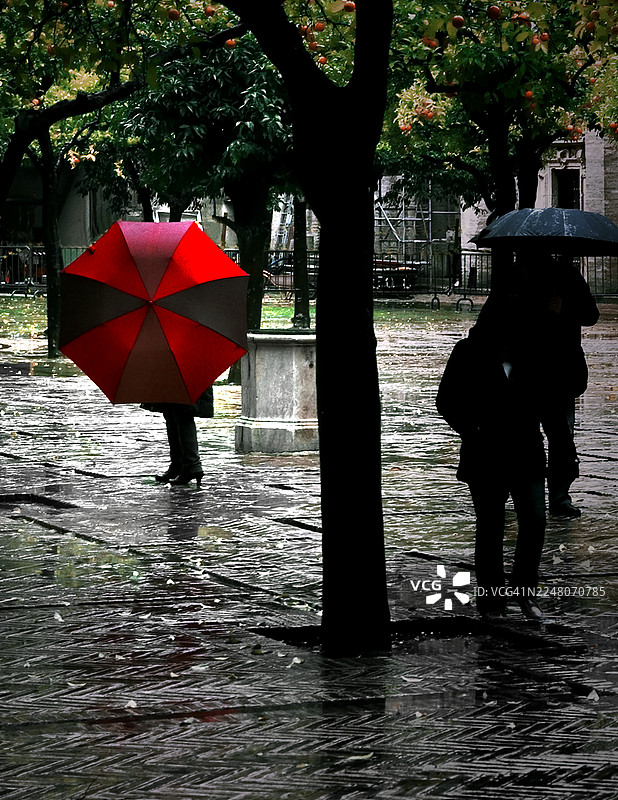 塞维利亚的雨天。一个人撑着一把红黑相间的雨伞躲雨。地面湿漉漉的，橙子树上结满了果实。图片素材