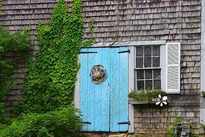 蓝色百叶窗和爬藤植物装饰的科德角风格房屋的特写，其外墙为雪松木瓦图片素材
