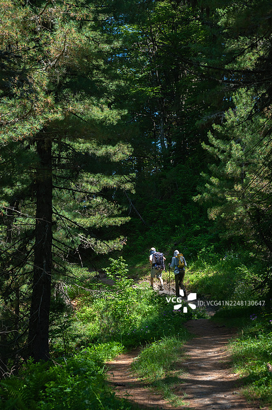 在巴尔干山脉小径（Peaks of the Balkans Trail）黑山段进行徒步，之后将穿过阿尔巴尼亚，前往偏远的 Doberdol 村庄。图片素材