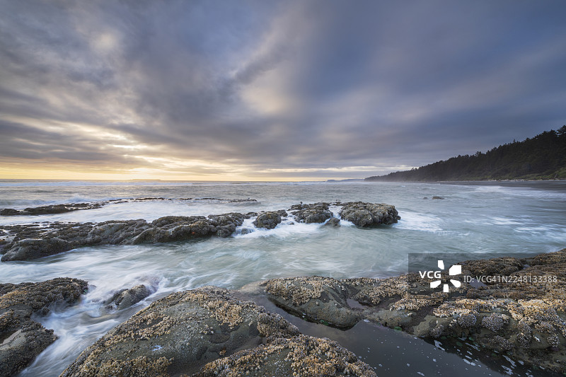 奥林匹克国家公园卡拉洛克海滩4号图片素材