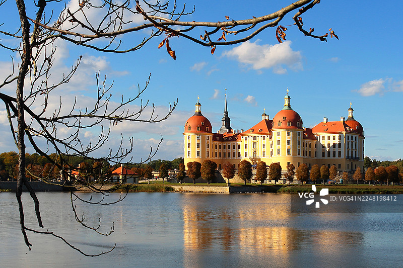 德国萨克森州莫里茨堡城堡，前景为光秃秃的树枝图片素材