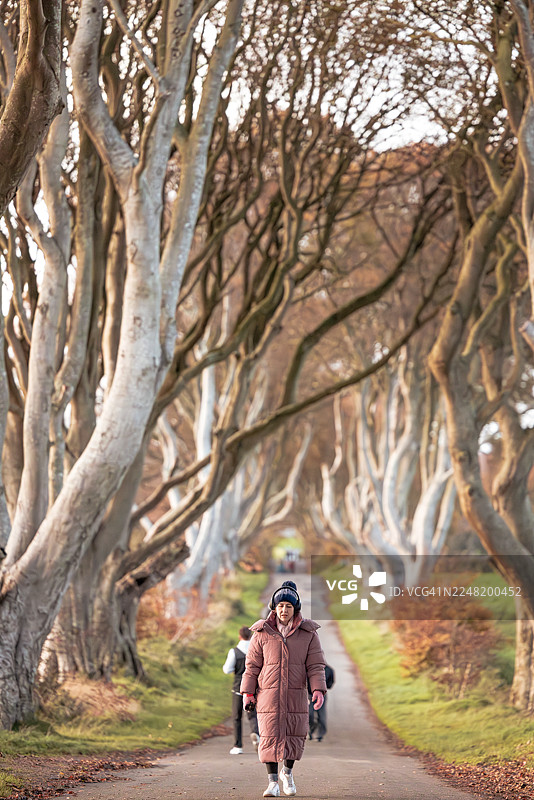一位女士在戏剧性的山毛榉树冠下静静地行走图片素材