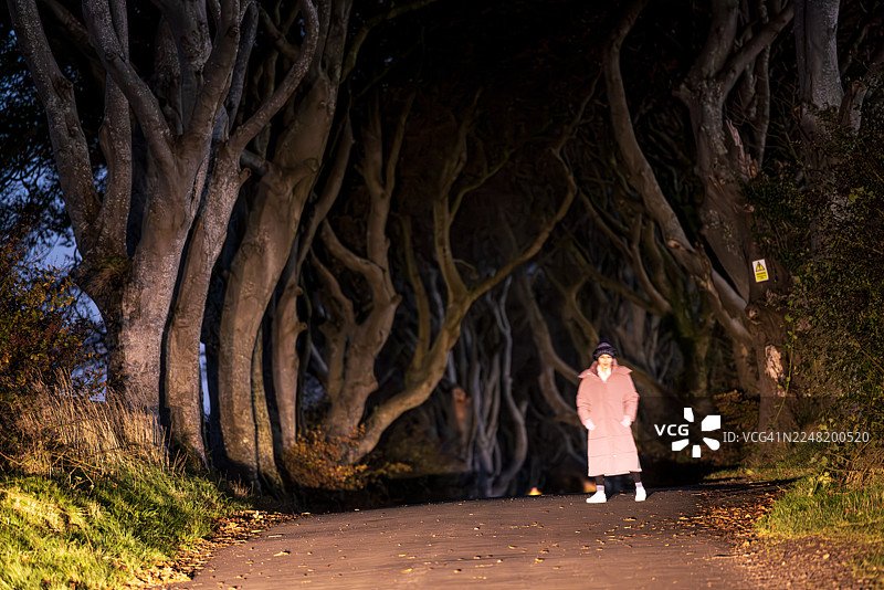 车灯照亮幽暗树篱中的游客图片素材