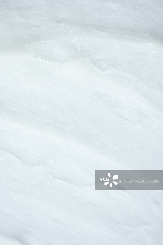 雪白表面激发纯净之美，适用于面霜和冬季护肤概念的护肤品牌图片素材