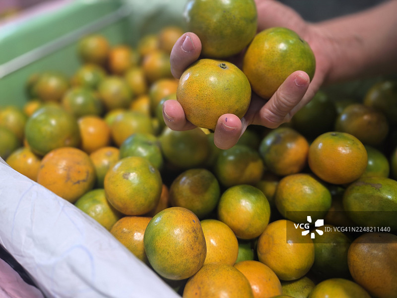 橙色水果图片素材