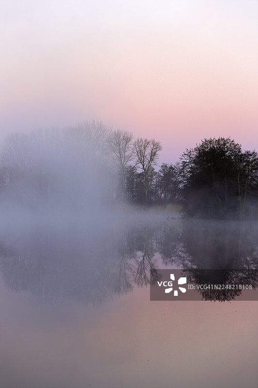 日出时有雾的湖泊和树木,粉色的天空倒映在水中,德国梅克伦堡-前波美拉尼亚州皮纳塔尔自然公园图片素材