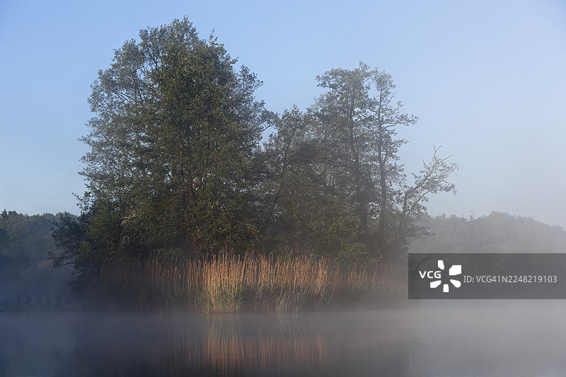 凉爽的早晨氛围,树木倒映在雾气弥漫的水面上,梅克伦堡-前波美拉尼亚州德国的皮纳塔尔自然公园图片素材