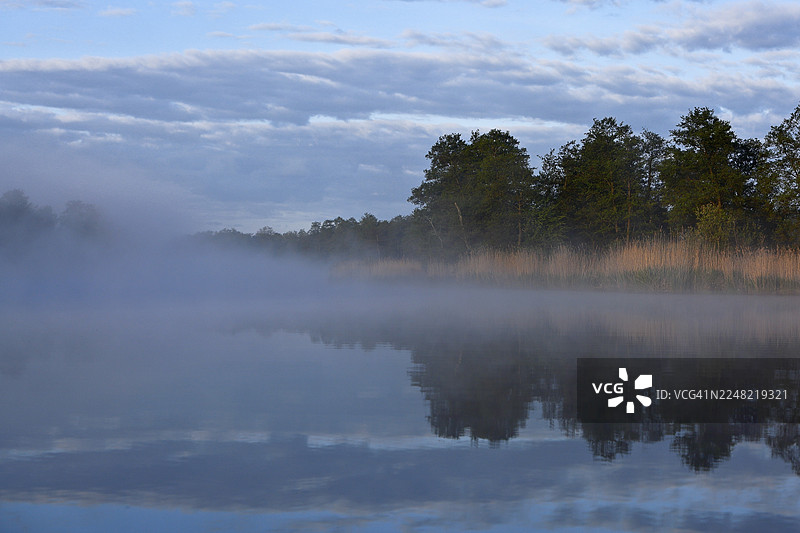 清晨,雾气笼罩着平静的湖面,湖畔有树木和芦苇,地点位于德国梅克伦堡-前波美拉尼亚州的皮纳塔尔自然公园。图片素材