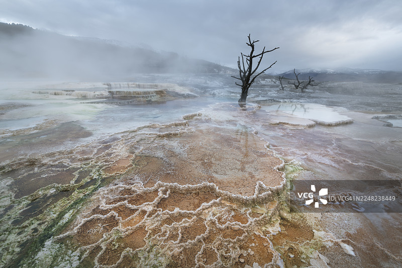 黄石国家公园猛犸温泉图片素材