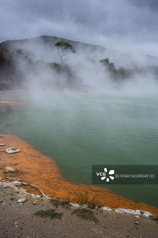 新西兰北岛怀卡托怀奥塔普地热区（Wai-O-Tapu）的香槟池图片素材